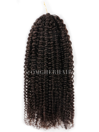 2 Packs 20in Kinky Curly Pre-Separated Crochet Hair Extensions [CS329]